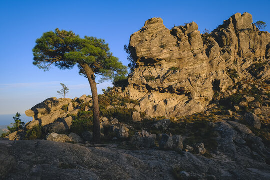 The hike from Piscia di Ghjaddu offers us a view of the rocks of Corsica, a wild and beautiful nature.
October 2020, Corsica, France