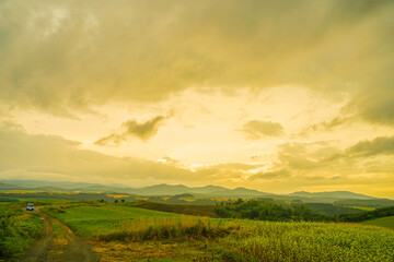 Obraz premium 北海道の草原と夕景