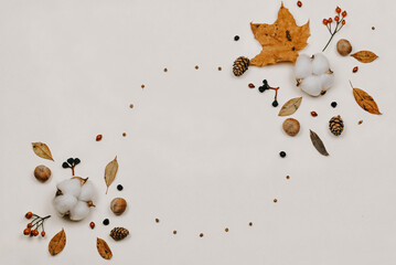 Autumn composition. made of cotton flowers, dried leaves on pastel gray tones. Autumn, fall concept. Flat lounger, top view, copy space