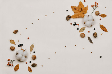 Autumn composition. made of cotton flowers, dried leaves on pastel gray tones. Autumn, fall concept. Flat lounger, top view, copy space