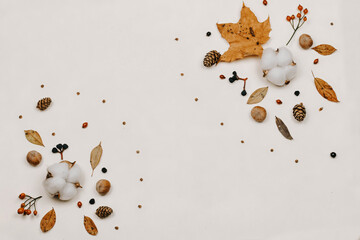 Autumn composition. made of cotton flowers, dried leaves on pastel gray tones. Autumn, fall concept. Flat lounger, top view, copy space