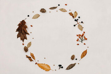 Autumn composition. made of cotton flowers, dried leaves on pastel gray tones. Autumn, fall concept. Flat lounger, top view, copy space