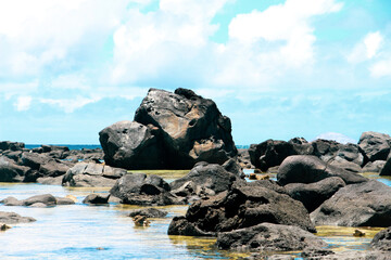 rocks on the beach