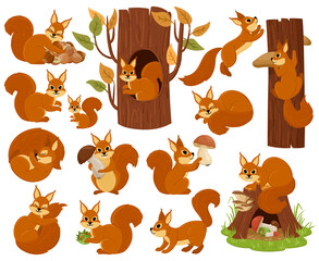 Cartoon squirrel woodland animal character, sleeping, jumping, playing. Forest wild nimble squirrel vector illustration set. Cute woods fauna rodent animal