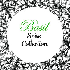 Basil. Frame with Leaves Stem Top View Black White Sketch White Background Isolated hand drawn vector stock illustration. Engraving for packaging food and spice labels