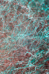 abstract red-green macro photography natural texture neural network, mold