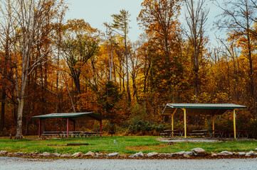 Fall autumn foliage during October