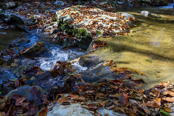 Autumn in the mountains, a mountain river, a calm current, a sunny morning, fallen leaves, with a reflection in the water.