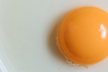 Macro close up of raw egg yolk