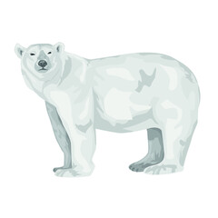 Fototapeta premium adult polar bear stands isolated on a white background. Polar bear. Northern animals. Vector