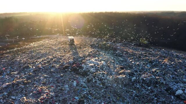 Aerial view of a city dump. A flock of birds is circling over the garbage dump. Garbage trucks unload garbage.