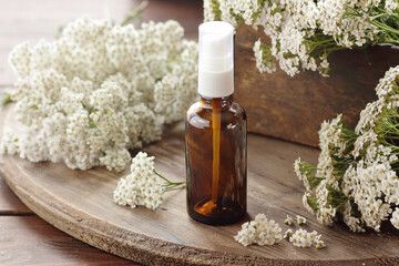 Yarrow herb essential oil or extract in amber bottles with milfoil blossoms on wooden rustic background, closeup, natural cosmetics and naturopathy concept
