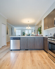 Modern kitchen in luxury house.