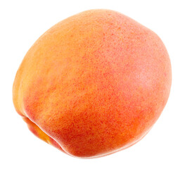 apricot fruit isolated on white background. clipping path