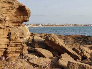 Vega Baja del Segura - Las calas de Torrevieja paisajes junto al mar