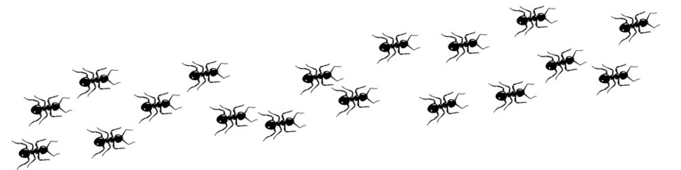 Ant trail A line of worker ants marching in search of food Vector illustration horizontal banner Ant road column Teamwork Hard work metaphor Black insect silhouettes traveling Isolated