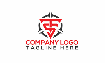 TS Logo design
