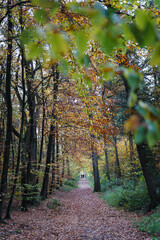 A walk through the Duisburg city forest in autumn