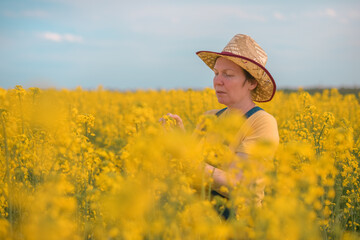 Naklejka na ściany i meble Female agronomist checking up on development of rapeseed crops in field, woman working on plantation