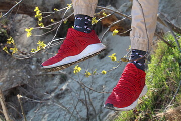 Czerwone buty i kolorowe skarpety na drzewie