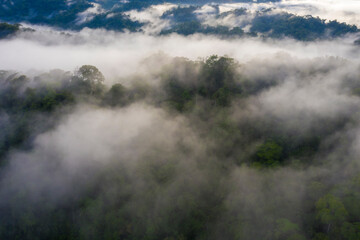 Fototapeta na wymiar Aerial view of the Amazon forest covered in fog: a tropical forest canopy barely visible in the early morning fog