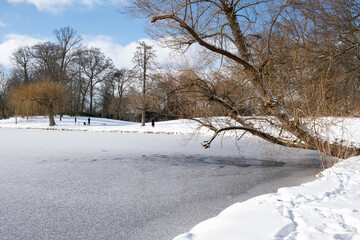 frozen pond
