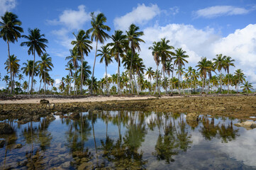 Fototapeta na wymiar beach landscape on morning with ocean water mirrow