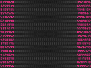 デジタル数字ランダムパターン左右フレーム【レッド】