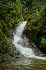 mountain waterfall in jungle woodland outdoor environment