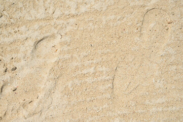 white sand texture on exotic beach in dominican republic