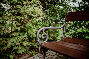 bench in the park
