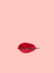 A red leaf on a pink background making minimalistic concept of a woman, love, passion. Flat lay design. Copy space.