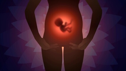 Embryo in the womb, silhouette of a pregnant woman on the background of a fractal