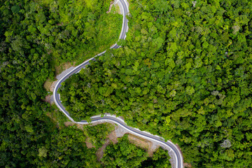 Aerial top view of a hardened road curving through the forest canopy seen from above