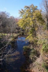Canal with Small Portion of Bridge Water and Colored Trees in Autumn Sunlight