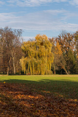 Castle park - autumn landscape with sun with colorful trees. Blue sky with white clouds.