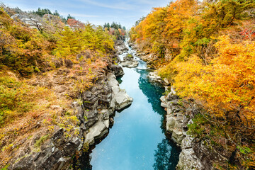 紅葉の渓谷岩手厳美渓