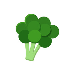 vector broccoli sign, isolated object on white background. Single green asparagus cabbage logo in flat style. Organic food - a healthy vegetable for a healthy diet