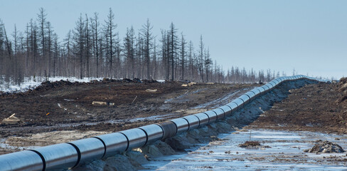 construction of a gas pipeline in siberia