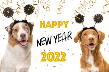 Portrait of two happy dogs wearing a new year diadem on a white background with golden party garlands and text happy new year 2022