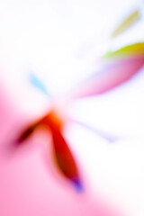 Abstract blurred background image with pink, purple, blue, red, and white colors.