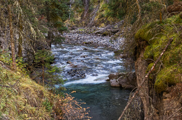 Obraz premium Water rushing through Johnston Canyon