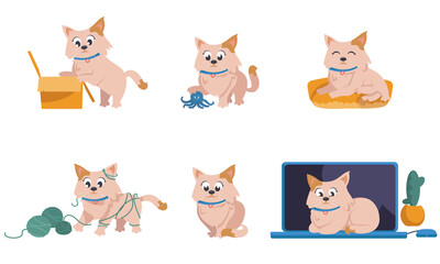 Domestic cat in different poses. Pet in cartoon style