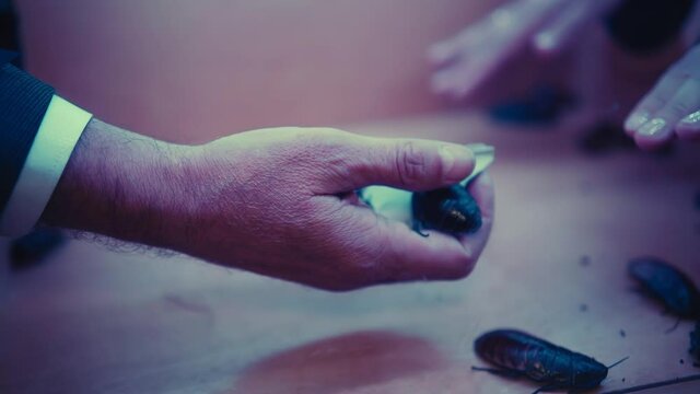 A man holds a large cockroach in his hand without seeing it and trying to understand by touch what he is holding