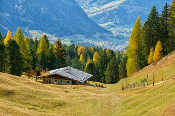 Traditional wooden chalet in the Dolomites, Italy, Europe 