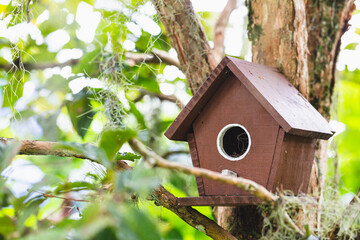 Brown birdhouse on the tree.