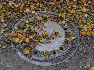 Herbstliches Laub verstopft Abwasser Schacht