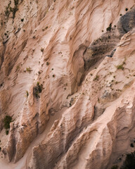 Lame Rosse