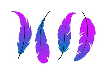 Feather. Different forms of feathers. Feather silhouettes. Set Line Feathers