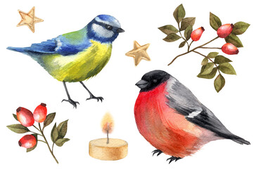 Watercolor Christmas illustrations with birds, berries, candle and golden stars. Christmas decoration set.